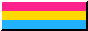 Pansexual Button